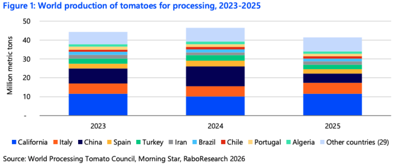 Processed tomato production
